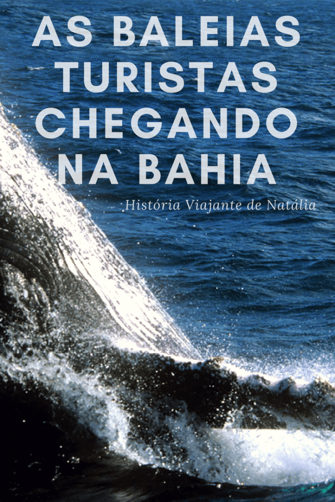 História viajante: as baleias turistas
