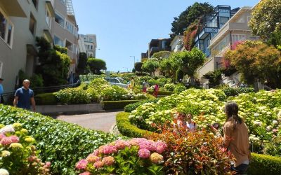 O passeio colorido pela Lombard Street em São Francisco