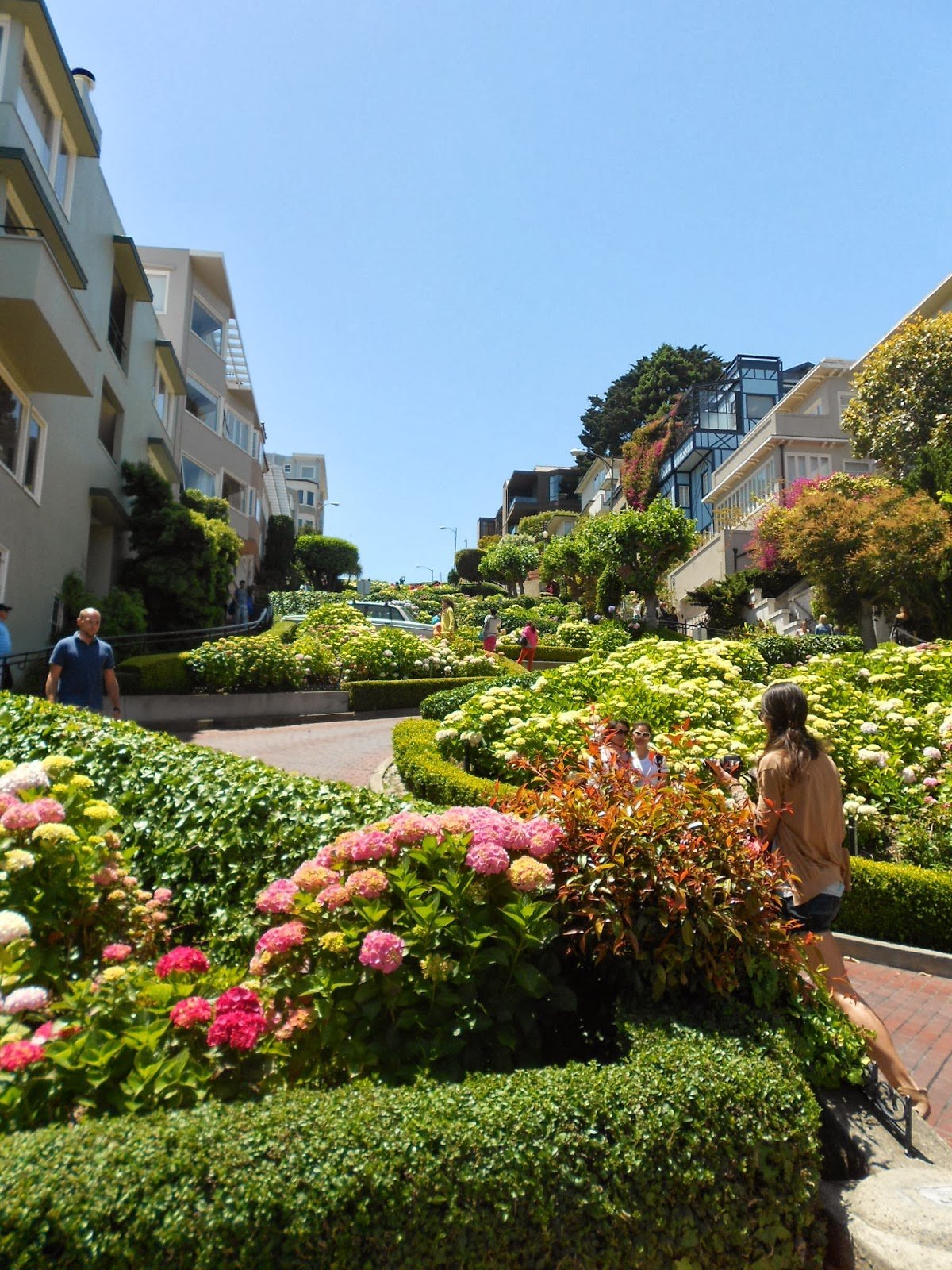São Francisco: um passeio colorido pela Lombard Street