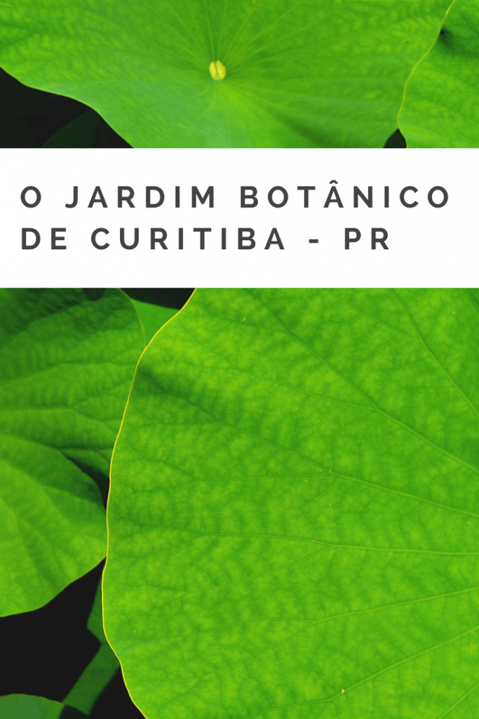 Conheça o belo Jardim Botânico de Curitiba