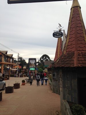 Monte Verde - Minas Gerais