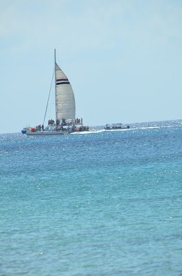 Cozumel: um dia por lá