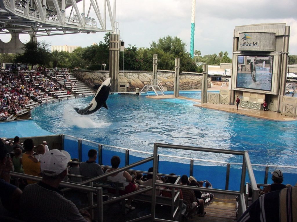 Sea World parques de diversões