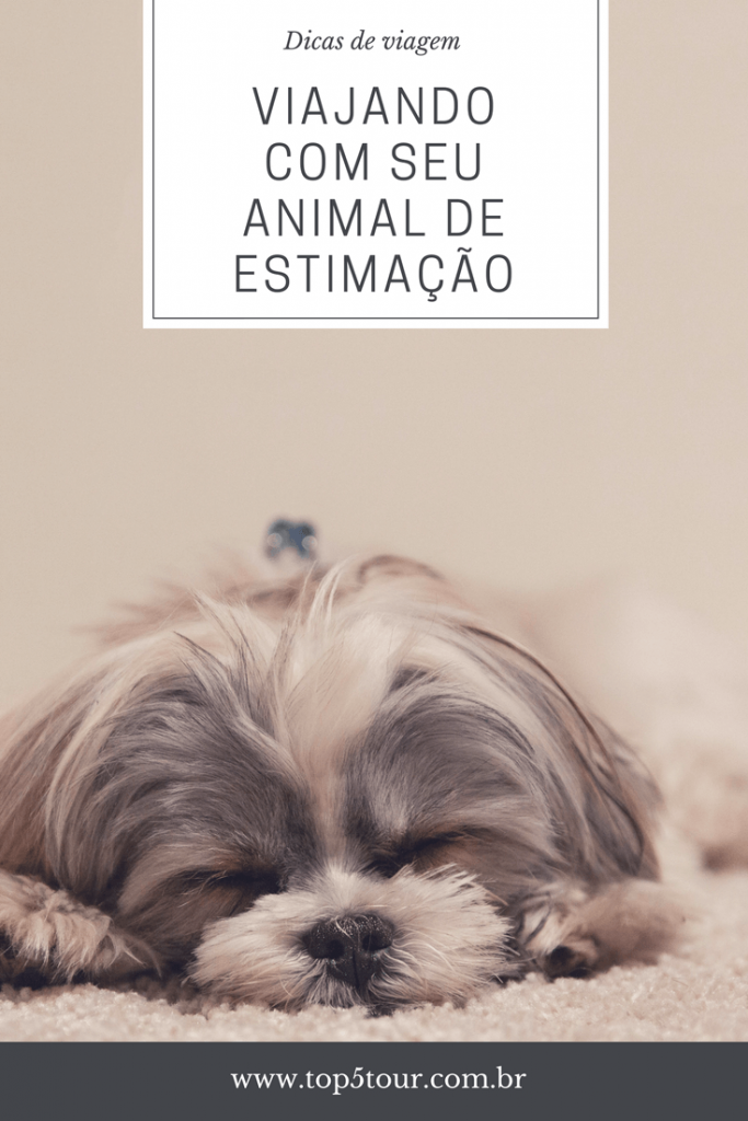 Dicas para viajar com o seu animal de estimação