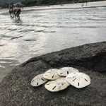 Ubatuba - SP