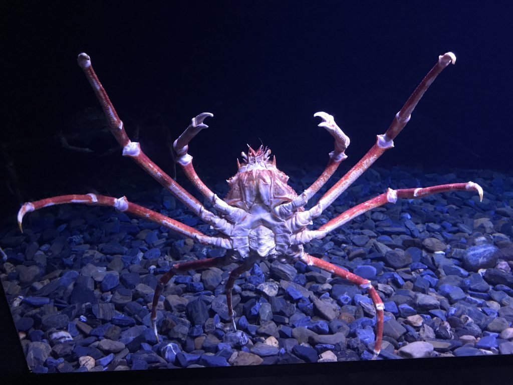 Oceanário de Lisboa