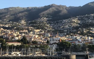 O que fazer na Ilha da Madeira/Funchal em 1 dia?