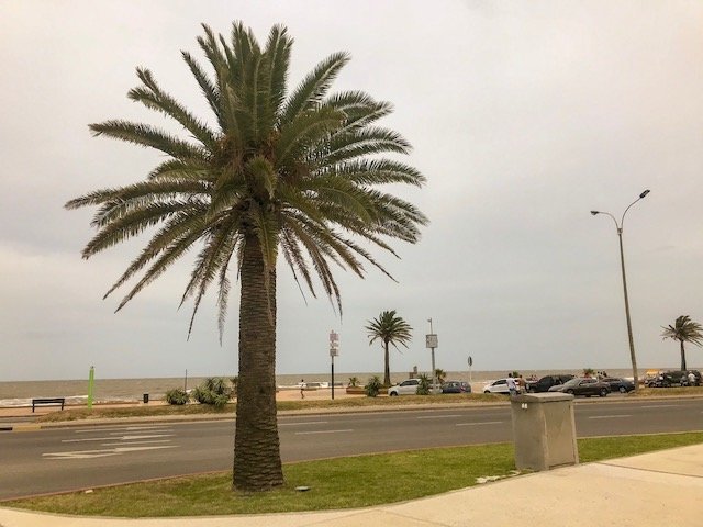 Praia Carrasco em Montevideo