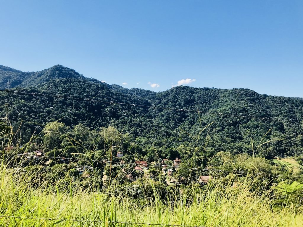 Muito verde em Penedo