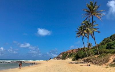 Um bate e volta até Pipa e Praia do Amor/RN