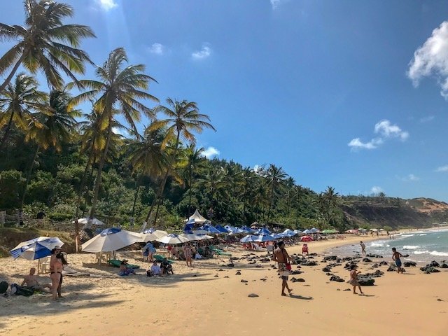 Pipa e Praia do Amor - o que fazer em Natal/RN