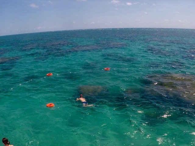 mergulho nos Parrachos de Maracajaú