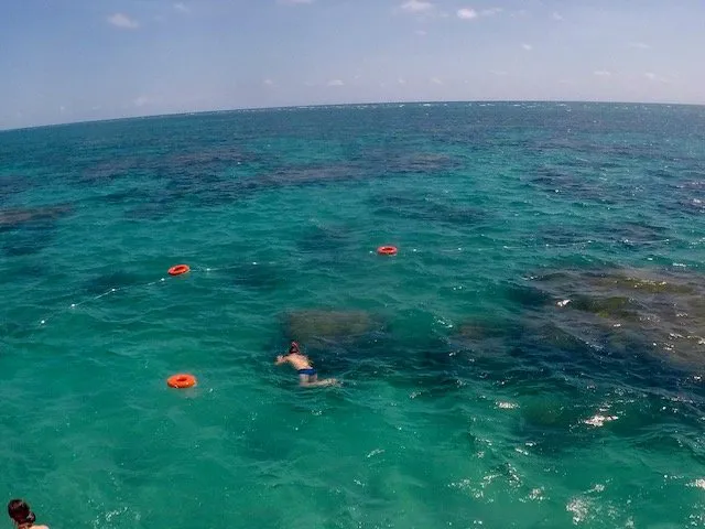 mergulho nos Parrachos de Maracajaú mergulho nos Parrachos de Maracajaú