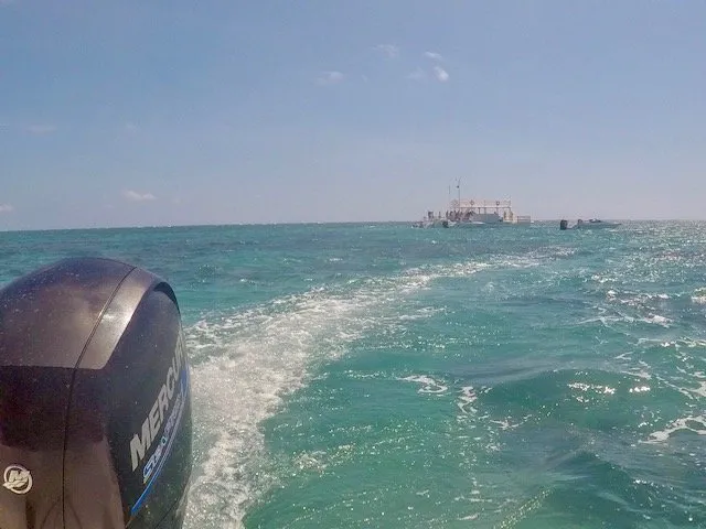 mergulho nos Parrachos de Maracajaú mergulho nos Parrachos de Maracajaú