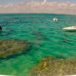 mergulho nos Parrachos de Maracajaú - RN