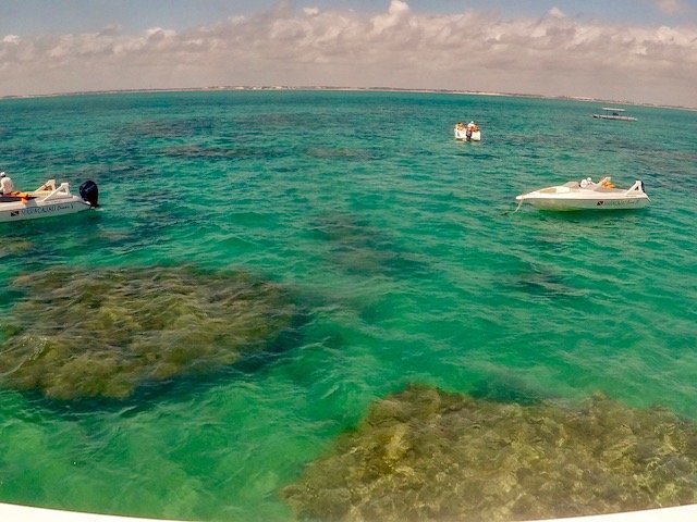 mergulho nos Parrachos de Maracajaú - RN