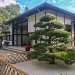 Pavilhão Japonês - cultura japonesa em São Paulo