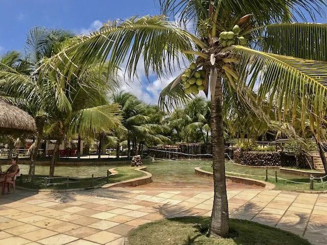 Manoa Beach Park - mergulho nos parrachos de maracajaú Manoa Beach Park - mergulho nos parrachos de maracajaú