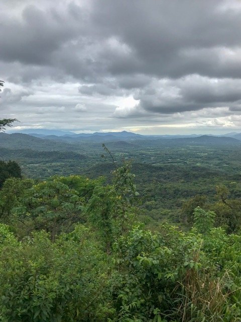 Trem de Morretes a Curitiba - mata atlântica