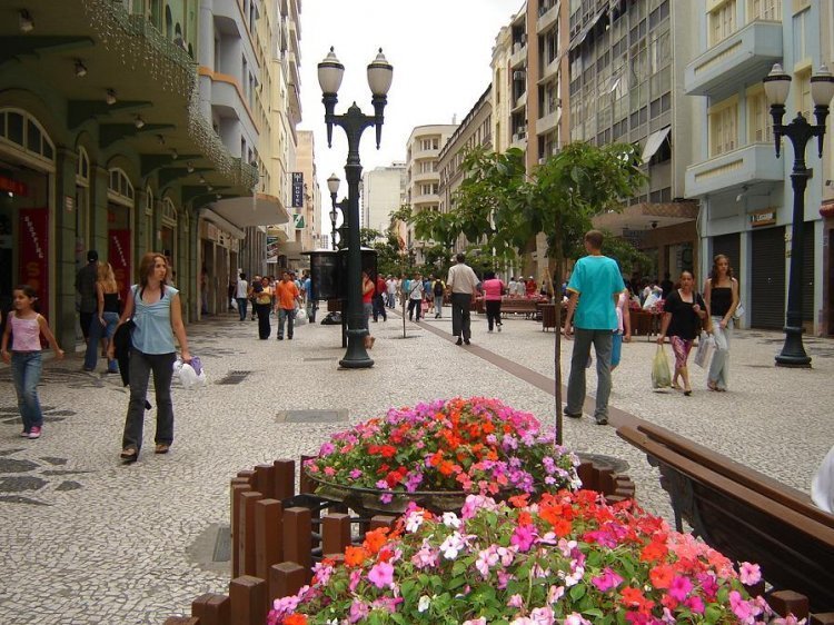 Rua Das Flores Curitiba