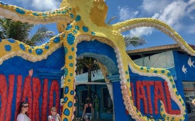 Um passeio pelo Aquário de Natal/RN