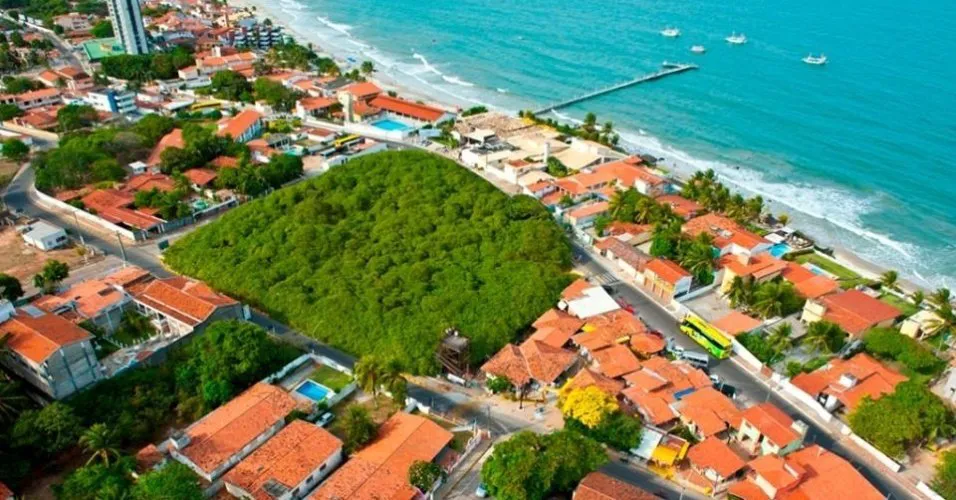 Av. Dep. Márcio Marinho, Praia de Pirangi do Norte, Parnamirim. Maior Cajueiro Do Mundo