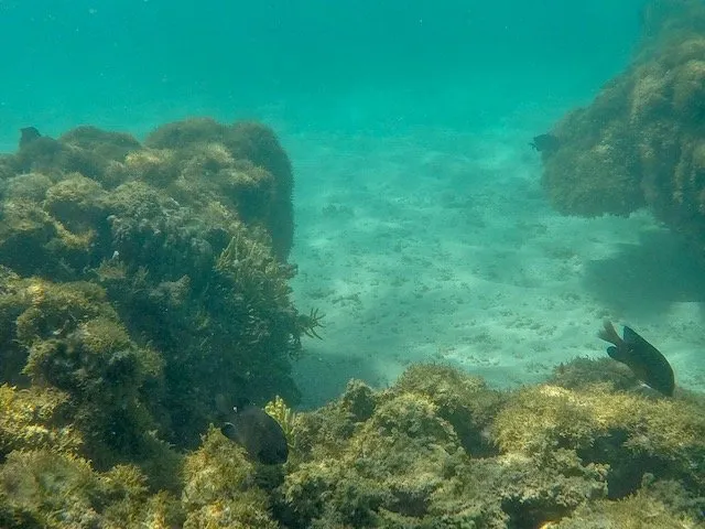 O que fazer em Porto de Galinhas/PE? Dicas de 7 passeios pela região 13 Galés de Maragogi - o que fazer em Porto de Galinhas