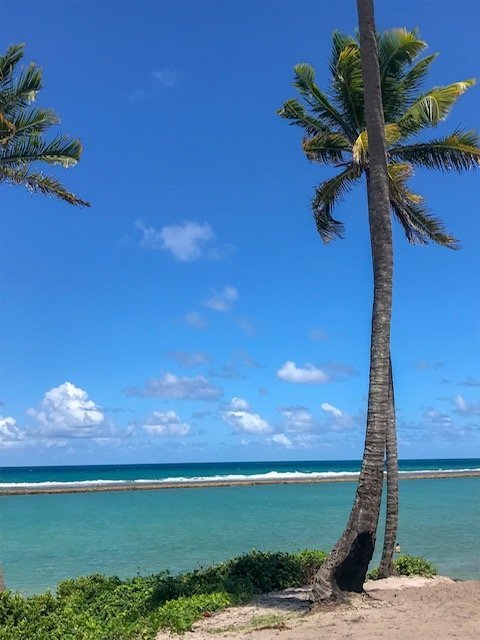 Praia Da Gamboa (2)