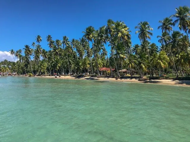 O que fazer em Porto de Galinhas/PE? Dicas de 7 passeios pela região 15 Praia Dos Carneiros