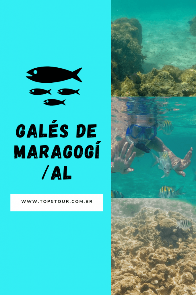 Mergulho nas Galés de Maragogi