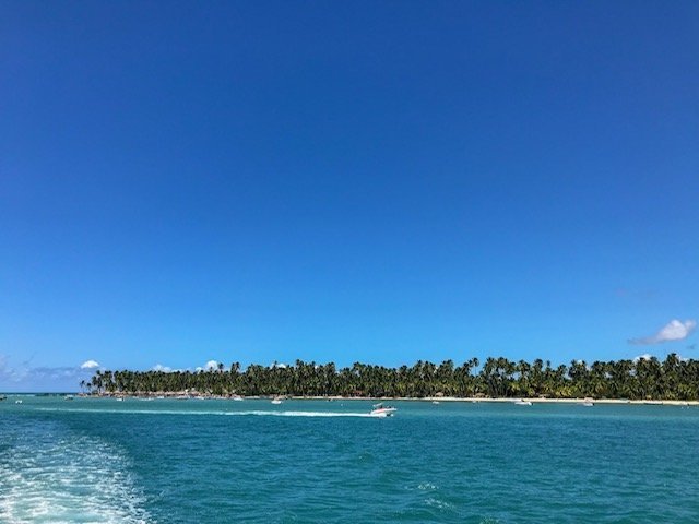 Praia Dos Carneiros E Os Coqueiros