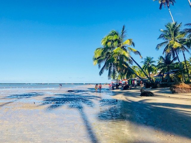 Praia Dos Carneiros No Final Da Tarde