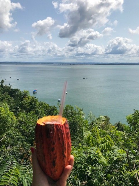 Caipifruta De Morango Com Cacau por do sol em morro de sp