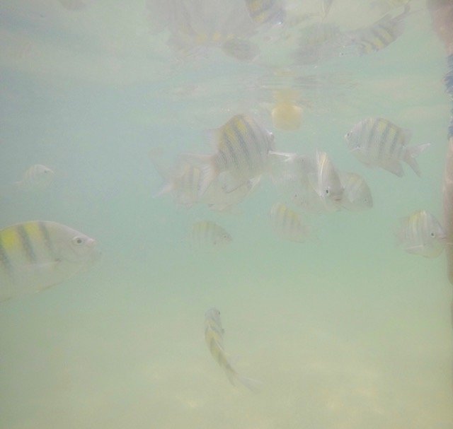 Piscinas Naturais Moreré passeios em morro de sp