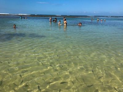 Pessoas Curtindo As Piscinas Da Quarta Praia