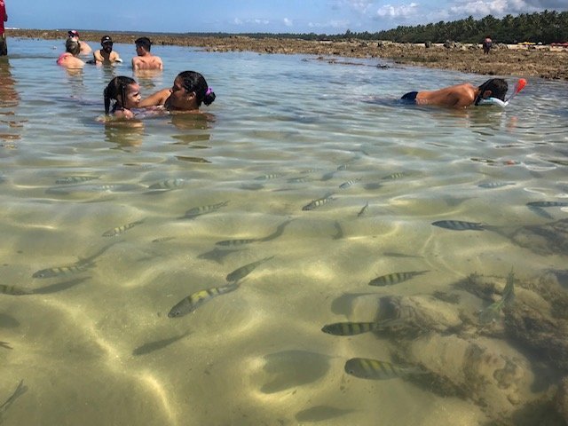 Piscinas Naturais Quarta Praia