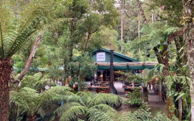 Onde comer em Campos do Jordão além do centrinho de Capivari? 3 lugares imperdíveis