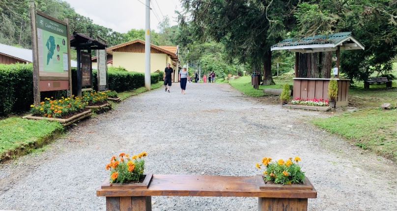 o que fazer em campos do jordão horto florestal