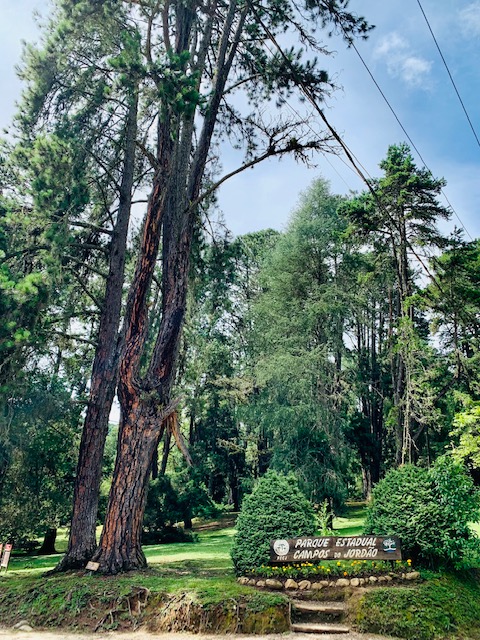 o que fazer em campos do jordão horto florestal