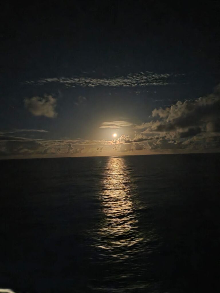 Msc seaview Msc Seaview na temporada brasileira